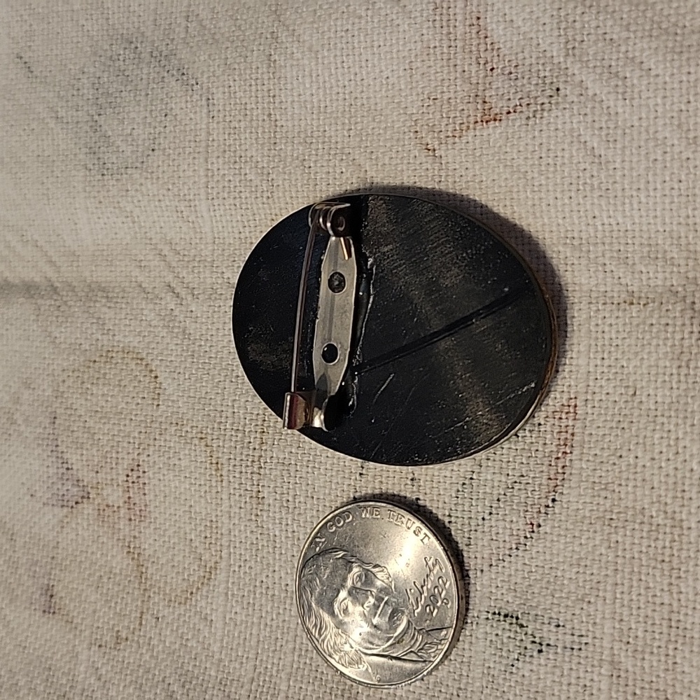 Vintage Beautiful Mother Pearl And Abalone Brooch - image 3